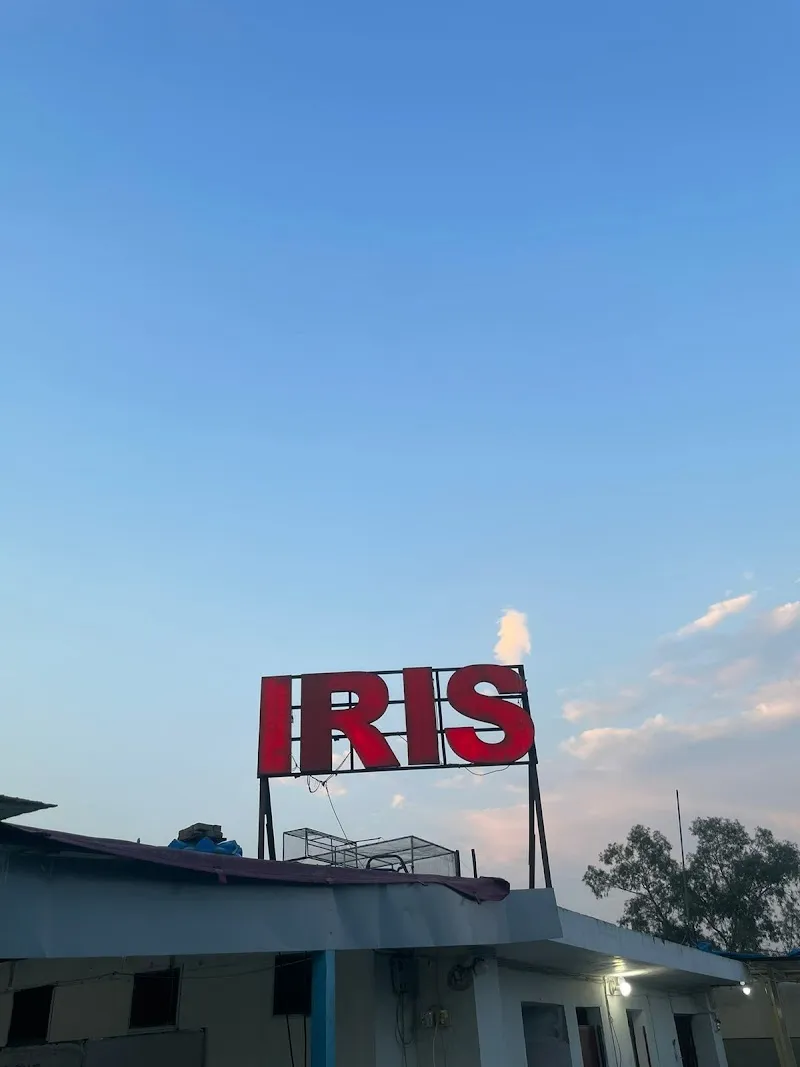 Iris Academy Middle Grades Hub