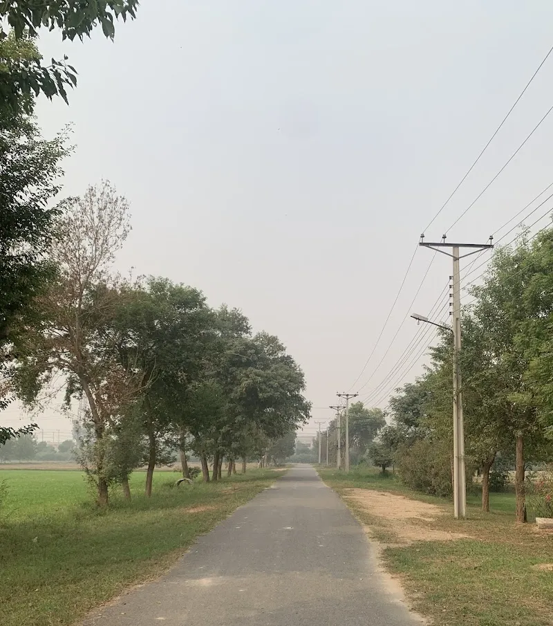 International Housing society (Sidhupura)