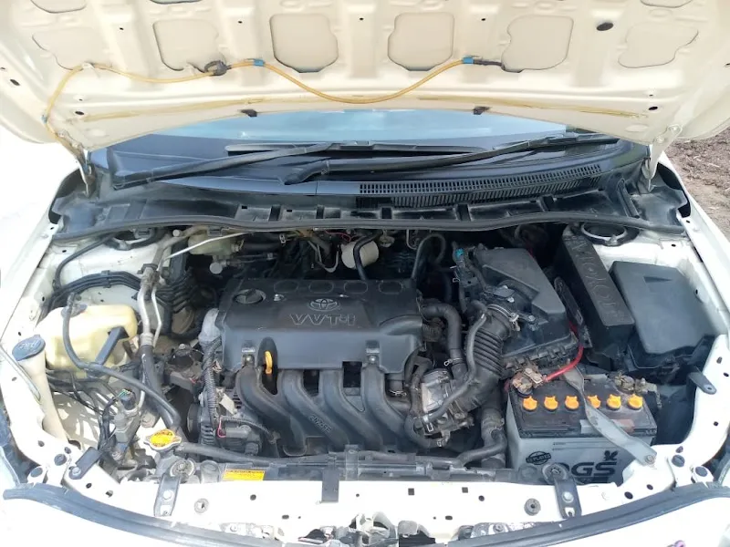 Auto Electrician Service